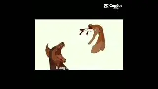 Nuage Agile et C&oelig;ur Blanc #lgdc #laguerredesclans #warriorcats #modelcapcut #nuageagile #c&oelig;urblanc
