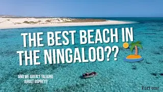 The Best Beach in the Ningaloo??  🏝️ (North West Cape, Exmouth)