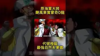 原海軍大將蒙奇D龍！代號橙龍！吃了最強災害自然系果實 #海賊王