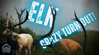 ELK hunting every species to get the biggest one!