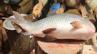 Amazing Fish Cutting Skills | Big Rohu Fish Cutting Skills Live | Traditional Fish CuttingVideo