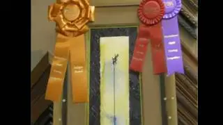 PPFA 2010 Judges Award.wmv