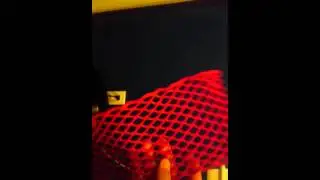 Wax mesh