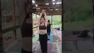#yogapractice #ashtanga #trending #viralvideo #sunsalutation #yoga #yogini #himachal #himalayas