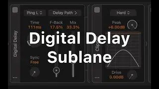 Shape Delayed Signals Using Digital Delay&rsquo;s Sublane