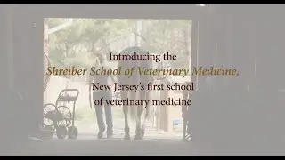 Introducing Shreiber School of Veterinary Medicine
