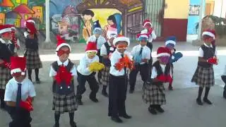 Festival Navideño - Peces en el Río
