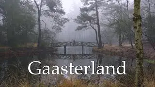 Silent Hiking Through a Misty Forest in Gaasterland