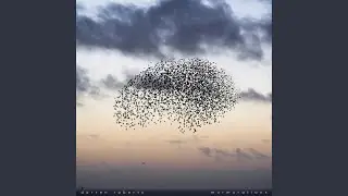 Birdsong