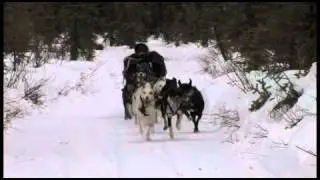 Open North American Championship &mdash; Sprint Sled Dog Race 2011