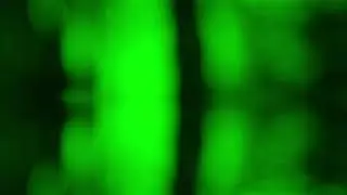 VF14