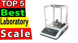 Best Laboratory Scale In 2024 (TOP 5)