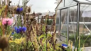 Brussels grows fruits and vegetables on top of a supermarket