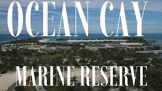 Ocean Cay Marine Reserve | Honest Review Vlog | MSC Cruises Private Island