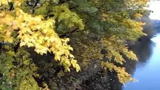 Herbstmelodie -  ART FILM