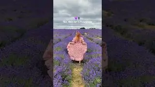 Welcome to Mayfield Lavender, England #travel #london #shorts #lavenderfields #thingstodoinlondon