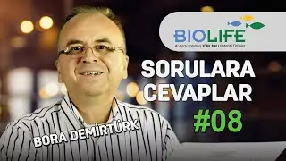 008 Biolife Pahalı Diyenlere, Böyle Bir Filtre Olsa Almanlar Yapardı Diyenlere Ne Dersiniz?