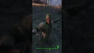 Fallout 4: 