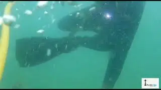 Pacific Blu | Diver making an entry into the seawater intake system