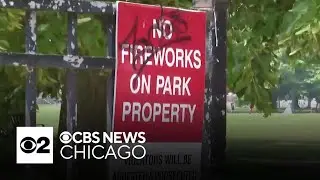 Chicago's annual Winnemac Park event will not have fireworks