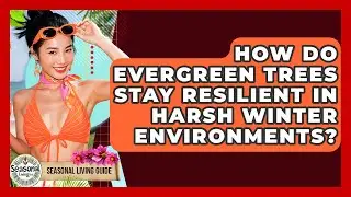 How Do Evergreen Trees Stay Resilient In Harsh Winter Environments? - Seasonal Living Guide