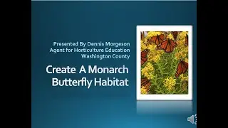 Monarch Butterfly Habitat