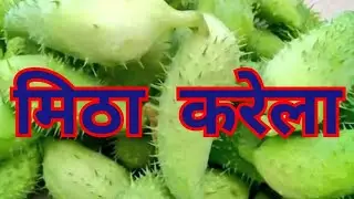 MITHA KARELA VEGETABLE