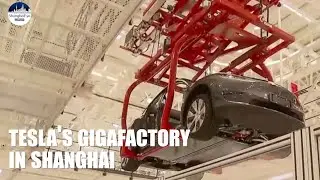 A rare glimpse of Tesla's Model Y automatic assembly line at Shanghai Gigafactory