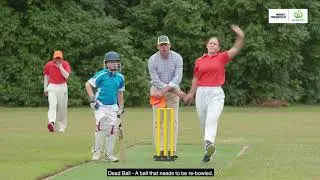 Umpiring a Junior Cricket match