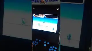 Wonder boy 2 arcade