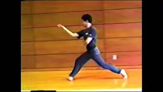 Su Dong Chen - Ba Gua and Hsing-I