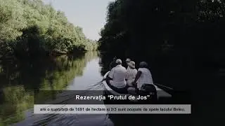 Rezervația științifică &ldquo;Prutul de Jos&rdquo;, locul care merită vizitat măcar o dată &icirc;n viață
