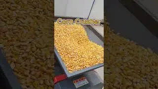 Corn Crusher with Motor &ndash; Feed Grinding Machine for Farmers#corncrusher #farmequipment #agriculture