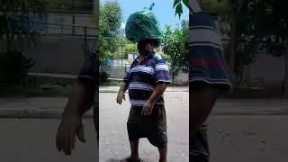 Cuida Gordim