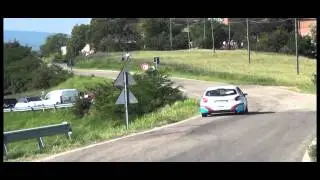 Giorgini-Salgaro Peugeot 208 R2B Publirace - PS 2 Montebaranzone