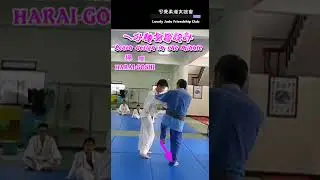 一分鐘學會設計--掃腰( Learn design in one minute -- HARAI-GOSHI )2948