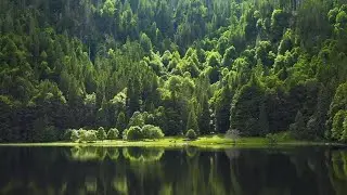 What&rsquo;s behind an Environmental Product Declaration?