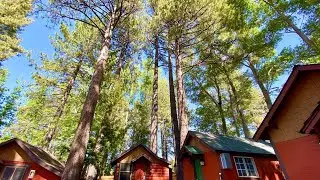 The Village Cabins | Big Bear Lake (CA), United States | Hotel Review ⭐