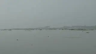 Ganges River dolphin (Shushuk) in Bangladesh | Whale and Dolphin Conservation