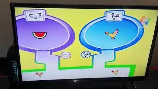 Where do they go? Watermelon vs Chicken