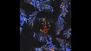 Moon's Voyager - Shallow Shadow