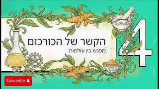 מזון יבש לכלב בריאי מה זה אומר?