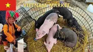 Vietnamese Xa L&yacute; Market. The most remote market in my hometown.