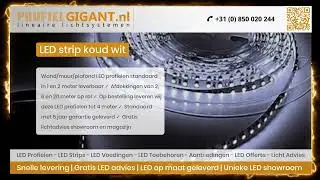 LED Strip Koud Wit | Profielgigant.nl | 2024