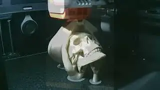 Teschio pirata
