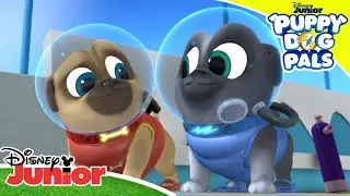 Good Reef | Puppy Dog Pals 🐶 | Disney Junior Arabia