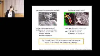 CCMB Seminar 12/02/2015 - Srijan Sen, PhD