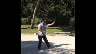 Luo Dexiu Xing Yi Quan