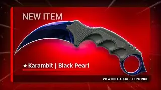 THIS $10,000 CASE BATTLE WAS INSANE!