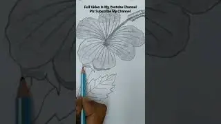 how to draw hibiscus flower drawing step by step easy|hibiscus flower drawing| #shorts #flowers draw